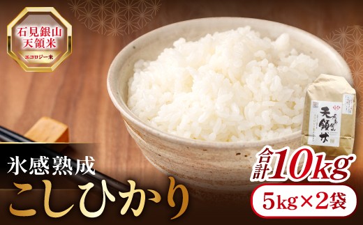 石見銀山天領米（氷感熟成エコロジー米こしひかり）10kg（5kg×2袋）【コシヒカリ 10kg こしひかり お米 精米 島根県産 大田市産 米 氷感熟成 エコロジー米 減農薬 減化学肥料】