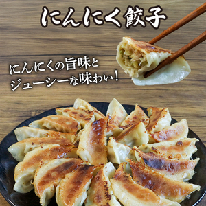 【京都餃子 一条】餃子2種セット「にんにく餃子・しょうが餃子」180個 餃子 冷凍餃子 惣菜餃子