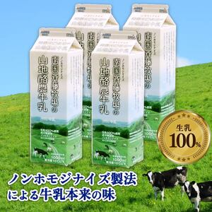 【定期便】山地酪農牛乳１L×4本【週1回配送/40回】 | 牛乳 酪農牛乳 生乳100% こだわり 牛乳 バターが作れる 斉藤牧場 牛乳 牛乳 成分無調整牛乳