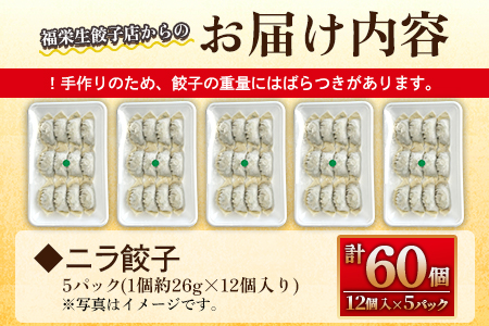 【数量限定！】＜ニラ餃子(12ヶ入×5パック)＞【MI285-fu】【福栄生餃子店】