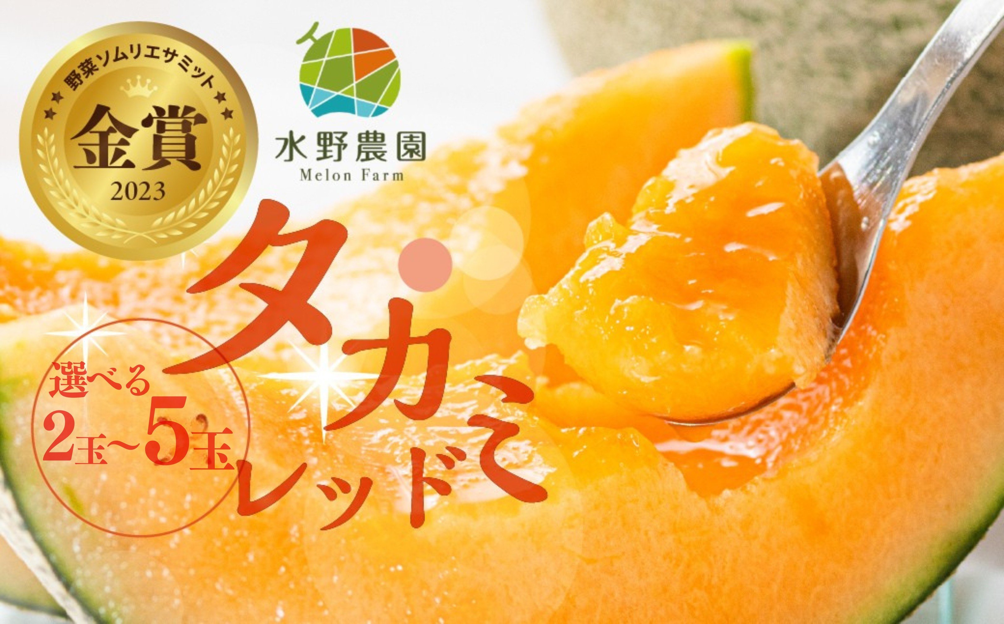 
            【先行予約】残りわずか！2026年6月発送 タカミレッド 選べる 2玉 / 3～5玉 メロン めろん 先行受付 フルーツ 果物 お中元 お取り寄せ ギフト 渥美半島 田原市 産地直送 送料無料 農家直送 赤肉 緑肉 産直 ネット系メロン 青肉メロン くだもの デザート メロン 糖度 メロン  赤肉メロン 水野農園
          