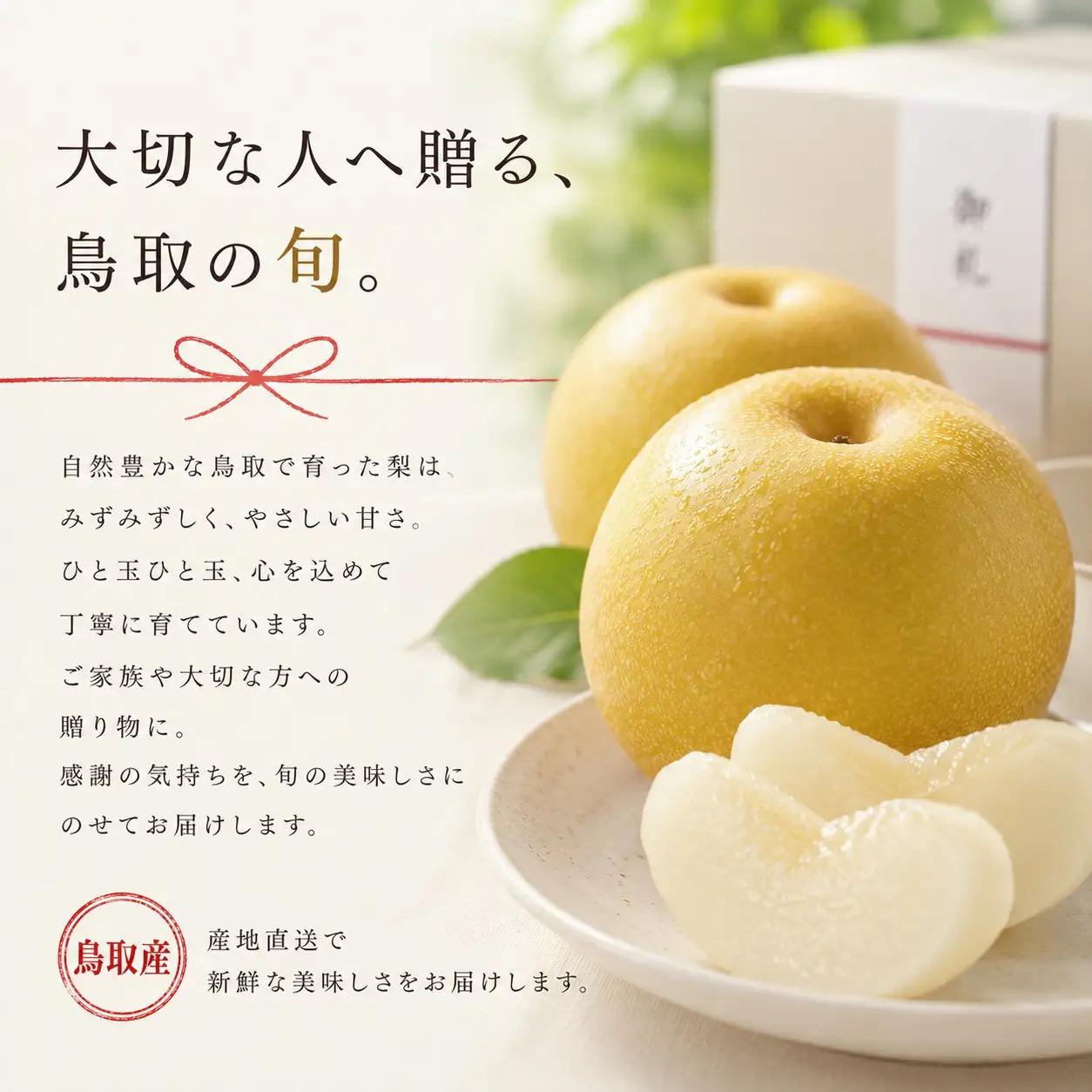 【期間限定】 梨 なし 新甘泉 5kg 10～16玉 2026年8月下旬～9月上旬頃順次発送 しんかんせん 果物 くだもの フルーツ 甘い ブランド 鳥取県 名産 特産品 先行予約 東商果樹園 直送 