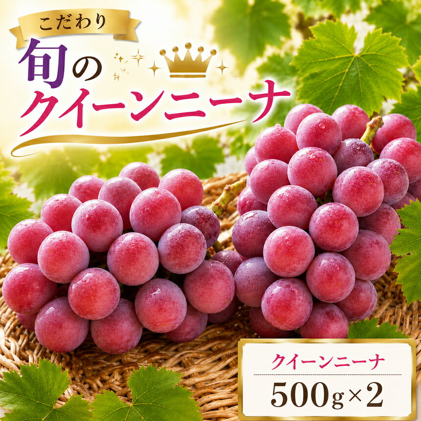 【ふるさと納税】美浜町産 こだわクイーンニーナ 500g×2 | ぶどう 果物 くだもの フルーツ ふるーつ 濃厚 季節限定 先行予約 旬 人気 おすすめ 愛知県 美浜町