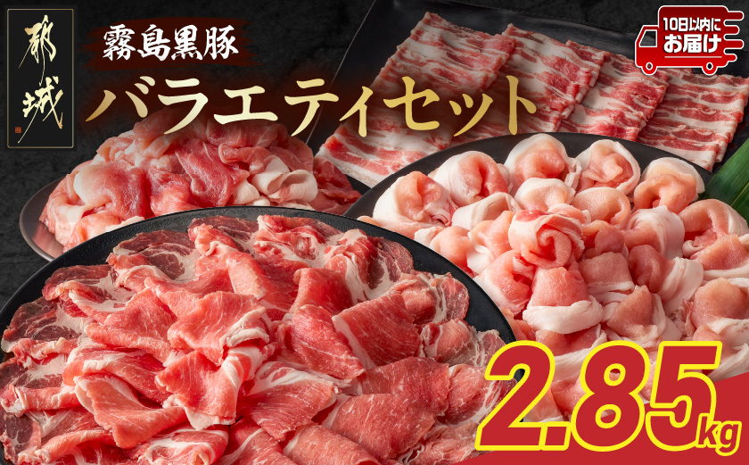 霧島黒豚バラエティセット2.85kg≪みやこんじょ特急便≫_23-2801-Q