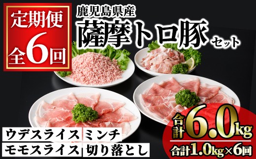 
                  ＜定期便・全6回＞鹿児島県産薩摩トロ豚モリモリおためしパック(合計6kg・1kg×6回) 小分け 冷凍 スライス ひき肉 ミンチ モモ ウデ 切り落とし【KNOT】T80
                