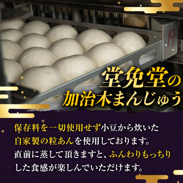 a959-B 加治木まんじゅう詰合せ・饅頭詰合せB・合計18個(プレーン8個、よもぎ5個、黒糖5個）【堂免堂】