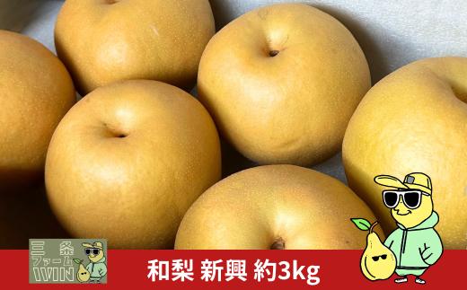 先行予約 和梨 新興 約3kg 秀品 令和7年度 新潟フルーツ 新潟県産 梨 [三条ファームWIN] 【010S840】
