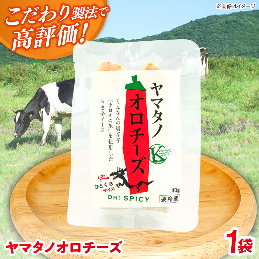 【ふるさと納税】チーズ ヤマタノオロチーズ 1個 40g | チーズ 乳製品 人気 おすすめ ナチュラルチーズ ハードチーズ おつまみ おやつ お取り寄せ グルメ ギフト プレゼント 贈り物 お祝い 40g 単品 ブロック 長期熟成 島根県雲南市/木次乳業有限会社[AIBH020]