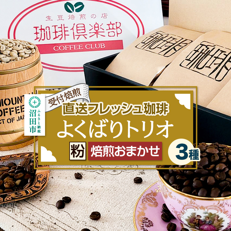 《受付焙煎》直送フレッシュ珈琲 よくばりトリオ【粉／焙煎度合いの指定はできません】各200g×3種 計600g 珈琲倶楽部 沼田店 [コーヒー 珈琲 coffee]