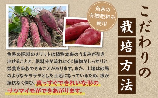 【ホックホク食感の優しい甘み】さつまいも金時 1.8kg 3箱・H116