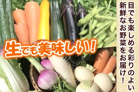 旬の野菜セットLサイズ(約10~11品)
