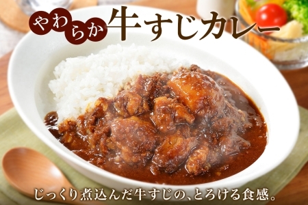 3446. おためし 弟子屈 牛すじカレー 1個 中辛 じゃがいも 牛 牛肉 肉 お試し レトルトカレー 保存食 備蓄 北海道 弟子屈町