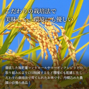 Y488 因幡の白兎米 コシヒカリ 令和7年産 精米済 10kg（5kg×2袋）