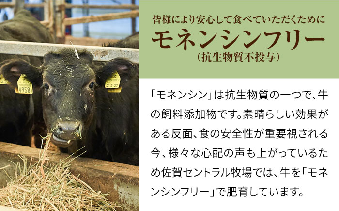 【牧場直送】【3回定期便】佐賀県産和牛 贅沢 ステーキ食べ尽くし【有限会社セントラル牧場】 [IAH080]