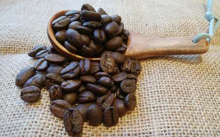 【3ヶ月定期便】世界のコーヒー豆詰め合わせ 500g (100g×5種) コーヒー 珈琲 豆 セット