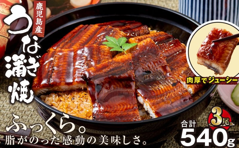 
            2446 鹿児島産うなぎ 合計540g（180g×3尾）　KN021-015-03
          