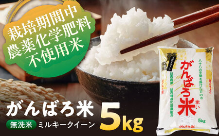 ＼お申込みは12月31日まで！／令和7年産 栽培期間中農薬化学肥料不使用米 無洗米 ミルキークイーン 5kg がんばろ米 [AZBW007] 新米無洗米 期間限定