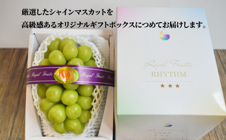 【きよとうファーム】厳選品 大粒シャインマスカット1房/700g以上 (岡山県産)【KF-B060-02】