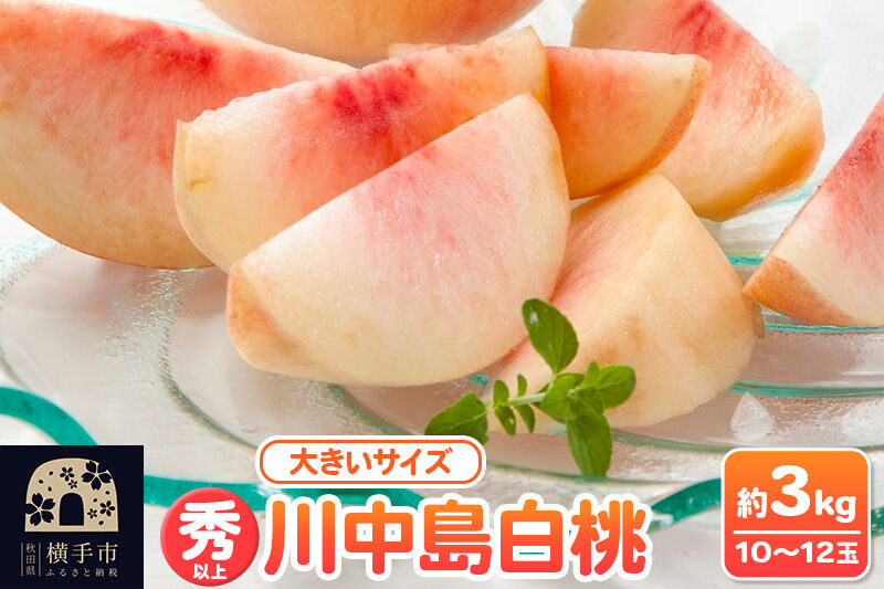 【先行受付】8月下旬より発送 横手市増田産の桃 川中島白桃 約3kg 秀以上 10～12玉 大きいサイズ [先行予約 もも モモ 白桃 はくとう 果物 フルーツ 横手産 秋田産 秋田県産 大玉]