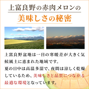 【2024年発送】ふらの 赤肉メロン 厳選 秀品 Mサイズ 1.3kg～1.6kg 2玉 セット ファーム富良野 メロン めろん 富良野メロン 果物 くだもの フルーツ 富良野 デザート 北海道 先行