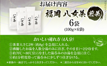 福岡 八女茶 煎茶 600g（100g×6袋） お茶 緑茶 原野製茶 奥八女 八女 茶葉 福岡県 福岡 九州 グルメ お取り寄せ