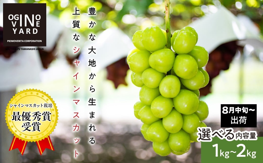 
            【2026年先行予約_8月中旬～発送】山梨県産シャインマスカット 1．０ｋｇ～２．０ｋｇ以上＜選べる内容量＞｜おすすめ 人気 山梨県 産地直送 フルーツ 果物 くだもの ブドウ ぶどう シャイン マスカット くだもの  国産 葡萄  新鮮
          