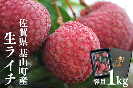 【先行受付】佐賀県産ライチ 1kg(贈答用)【生ライチ ライチ 生 基山町産 贈答用 貴重 国産 新鮮 フレッシュ 肉厚 1kg お中元 贈り物】B5-A060001