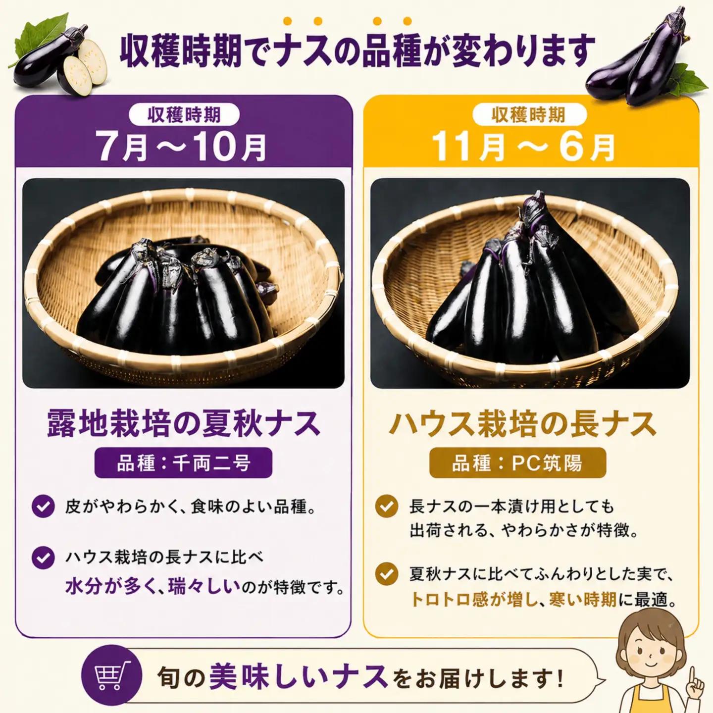 農家さん応援！訳ありごほう美ナス 約5kg