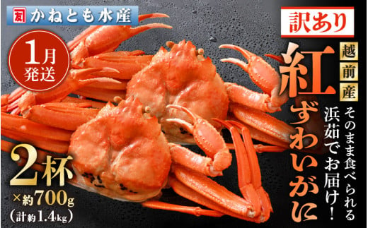 【訳あり】≪浜茹で≫越前産 紅ずわいがに 約700g × 2杯 食べ方しおり付【紅ズワイガニ カニ かに 蟹 姿 ボイル 冷蔵 福井県】【1月発送分】希望日指定不可 [e14-x025_01] 