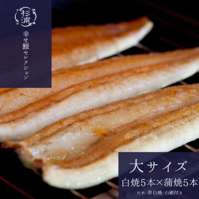 【ふるさと納税】遠州杉浦うなぎLセット　白焼5本+蒲焼5本(2,100~2,400g)+肝白焼3パック+タレ3個【配送不可地域：離島】【1612735】