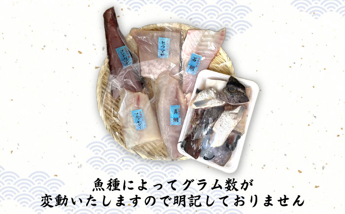 【下処理済】【冷蔵】 五島列島 鮮魚ボックス 5種 【ShiningFoods】 [RBR001]