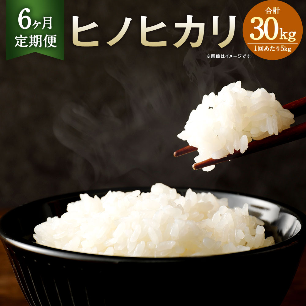 【ふるさと納税】【6か月定期便】相良村産 ヒノヒカリ 5kg 合計30kg 5kg×6回 定期便 6回 お米 白米 精米 熊本県産 国産 九州産 送料無料