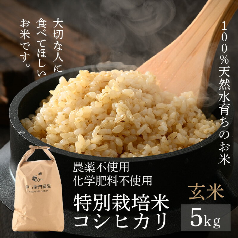 【ふるさと納税】【先行予約】【令和7年産 新米】コシヒカリ 玄米 5kg 特別栽培米 農薬不使用 化学肥料不使用 ／ 伊与衛門農園の特別栽培米 高品質 鮮度抜群 福井県 あわら市産 ブランド米 R7 北陸 お米 ※2025年9月下旬より順次発送予定