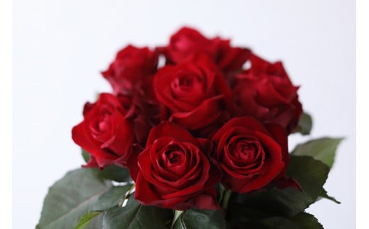 【定期便：12カ月】國枝バラ園から直送！Flower Bouquet（15本の花束）赤系 AN-0006-01