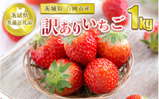 【先行予約】訳ありいちご 1kg【茨城県共通返礼品 石岡市】<br><br>※2024年12月上旬～2025年4月下旬頃に順次発送予定