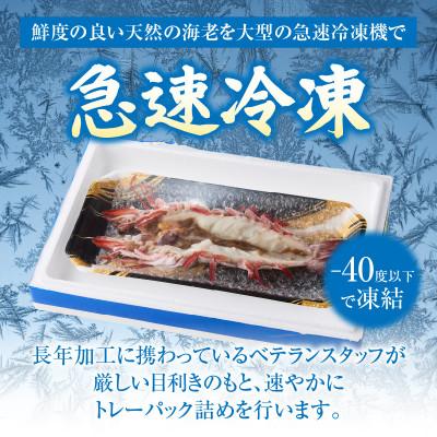 ふるさと納税 西尾市 【高級】超大型天然有頭タイガーえび　ハーフカット・K306 |  | 03