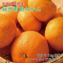 【ふるさと納税】[訳あり]和歌山有田みかん約5kg（S～Lサイズいずれかお届け）★2025年11月中旬頃より順次発送［TM81］ | 楽天ふるさと 納税 みかん ミカン 蜜柑 柑橘 柑橘類 かんきつ 果物 くだもの フルーツ 旬の果物 食品 食べ物 高野山