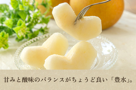【2026年先行予約】新潟県産 和梨 豊水 3kg（6〜10玉）《9月上旬以降発送》ほうすい 梨工房みつば会