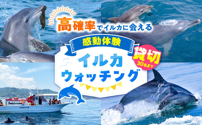 
                  南島原 貸切 イルカウォッチング / チケット ちけっと 体験型 観光チケット いるか イルカ イルカ体験 貸し切り いるか イルカ / 南島原市 / 南島原イルカウォッチング [SAE007]
                