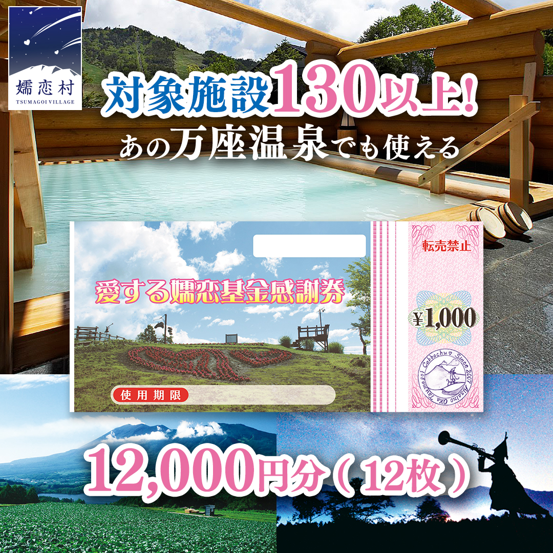 嬬恋村 で使える 感謝券12,000円分 (12枚) 温泉総選挙 万座温泉 万座 鹿沢温泉 観光 旅行券 宿泊券 旅行 温泉 スキー ホテル 旅館 トラベル 父の日 母の日 敬老の日 浅間高原 鹿沢 バラギ 北軽井沢エリア 関東 12000円 クーポン チケット 国内旅行 お泊り 日帰り 観光地応援 [AO005tu]