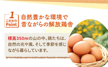 【6回定期便】いとう君ちのあっぱれ卵 80個（76個+割れ補償4個）/いとう養鶏場[UAQ004]