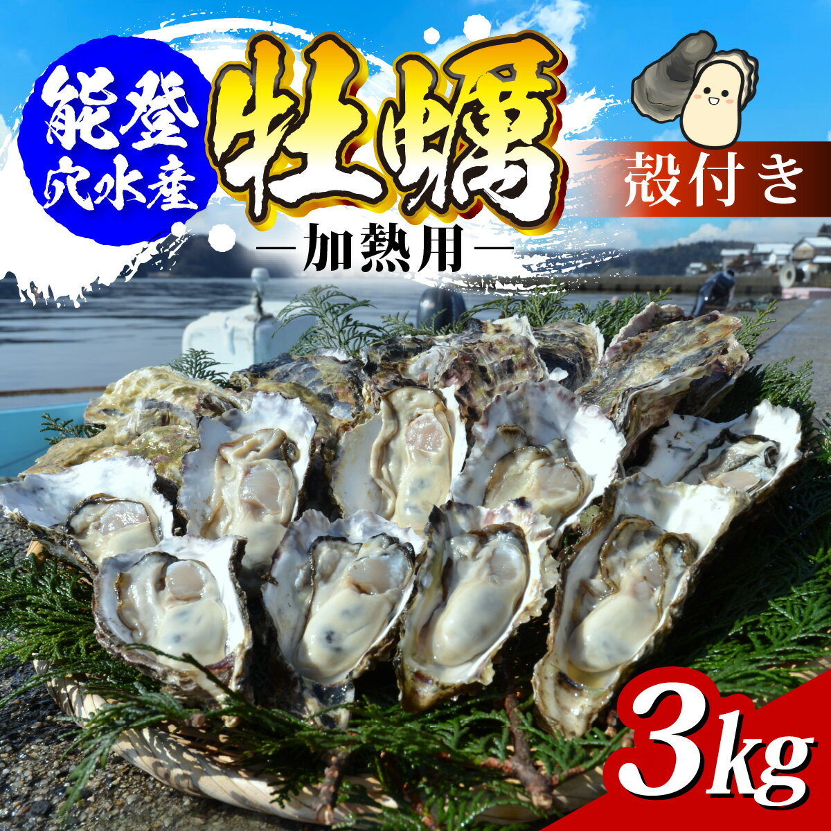 能登穴水の牡蠣（殻付）加熱用3kg