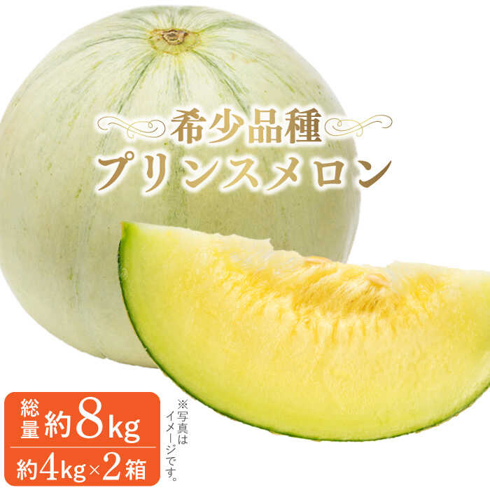 【2025年4月下旬～発送】【根強い人気！】 プリンスメロン 2箱 セット  / メロン 南島原市 / 南島原果物屋 [SCV008]