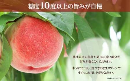 ＜2024年先行予約＞桃 秀品 2kg前後 糖度10％以上※クール便配送 177-011