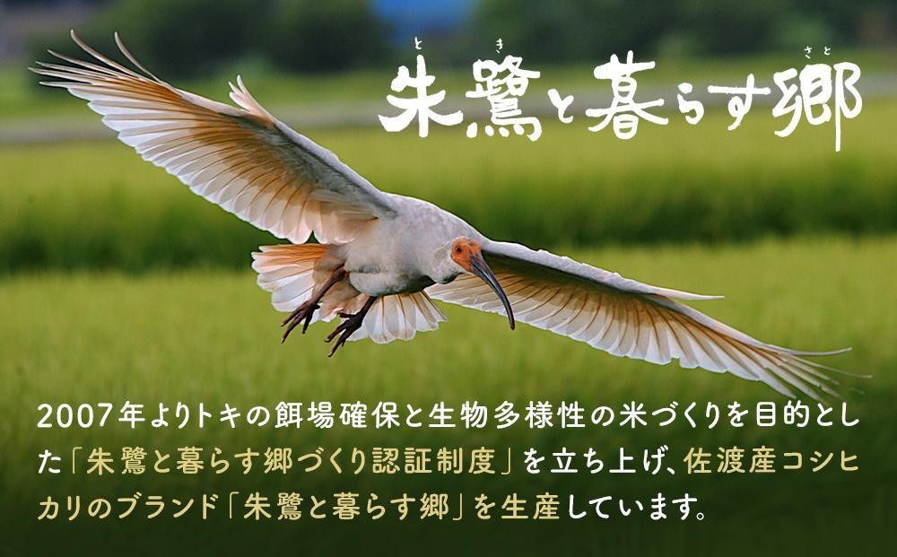 佐渡産コシヒカリ朱鷺と暮らす郷 レンジアップごはん