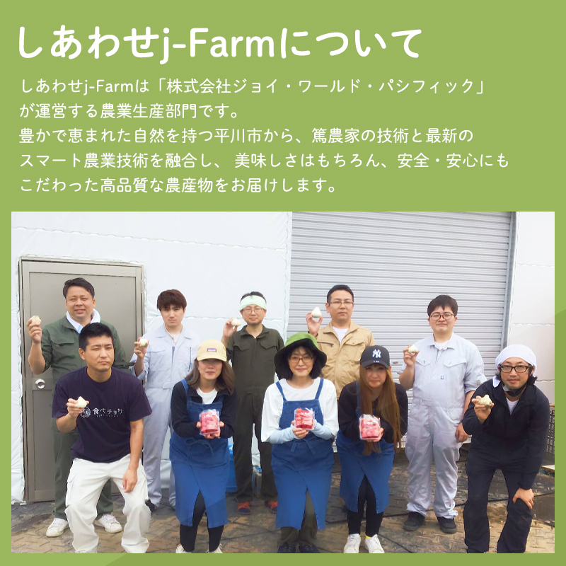 ≪6月下旬～順次発送≫青森県 平川市産 土付き生にんにく 約1kg【青森県 平川市 しあわせj-Farm】