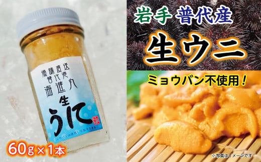 【漁師厳選】普代産 生うに60ｇ 瓶入り 【ミョウバン不使用】 【塩水】 三陸 生ウニ 雲丹