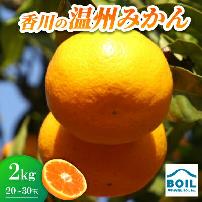 【ふるさと納税】温州みかん　約2kg(20～30玉)【1680211】