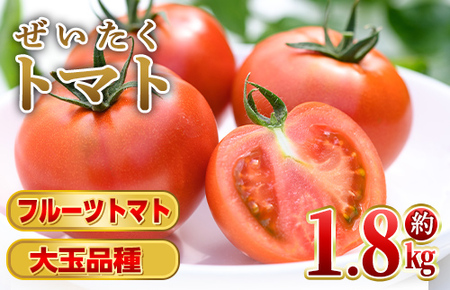 【P74002】ぜいたくトマト(約1.8kg) フルーツトマト 完熟 こだわり とまと トマト 大玉品種 夏野菜 野菜 産地直送【兼氏農園】