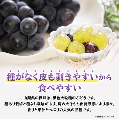 山梨市産「巨峰(種なし)」詰め合わせ(約500g×3房)【配送不可地域：離島・沖縄県】